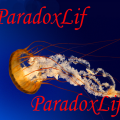 ParadoxLif